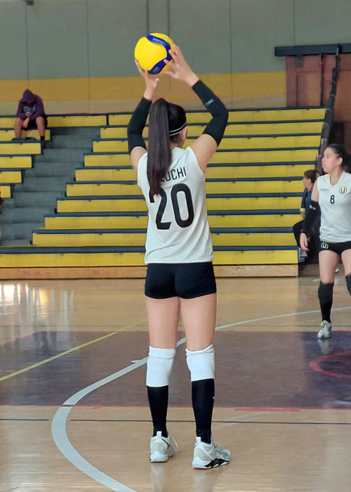 Liga Nacional Superior de Voleibol