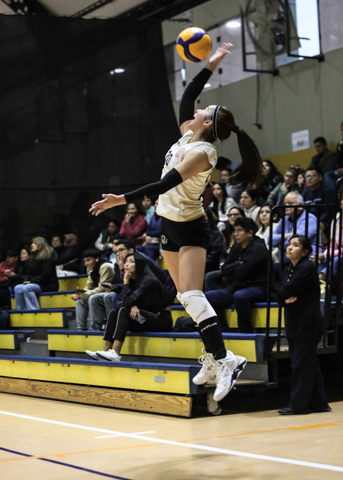Liga Nacional Superior de Voleibol