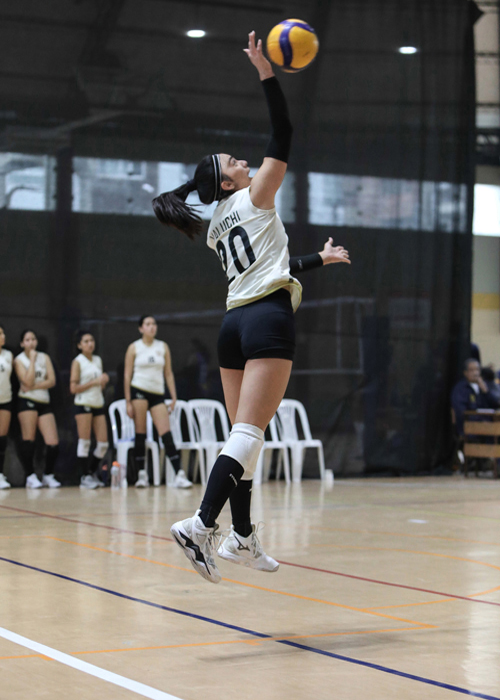 Liga Nacional Superior de Voleibol