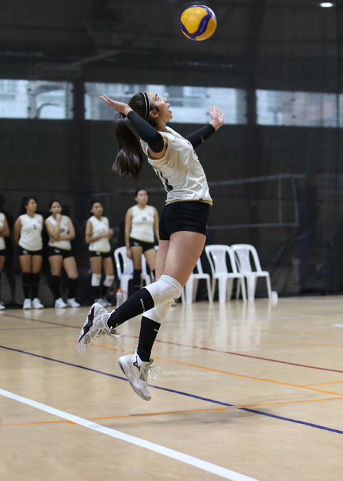 Liga Nacional Superior de Voleibol