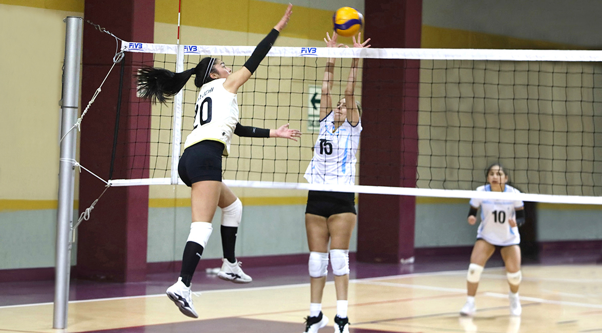 Liga Nacional Superior de Voleibol
