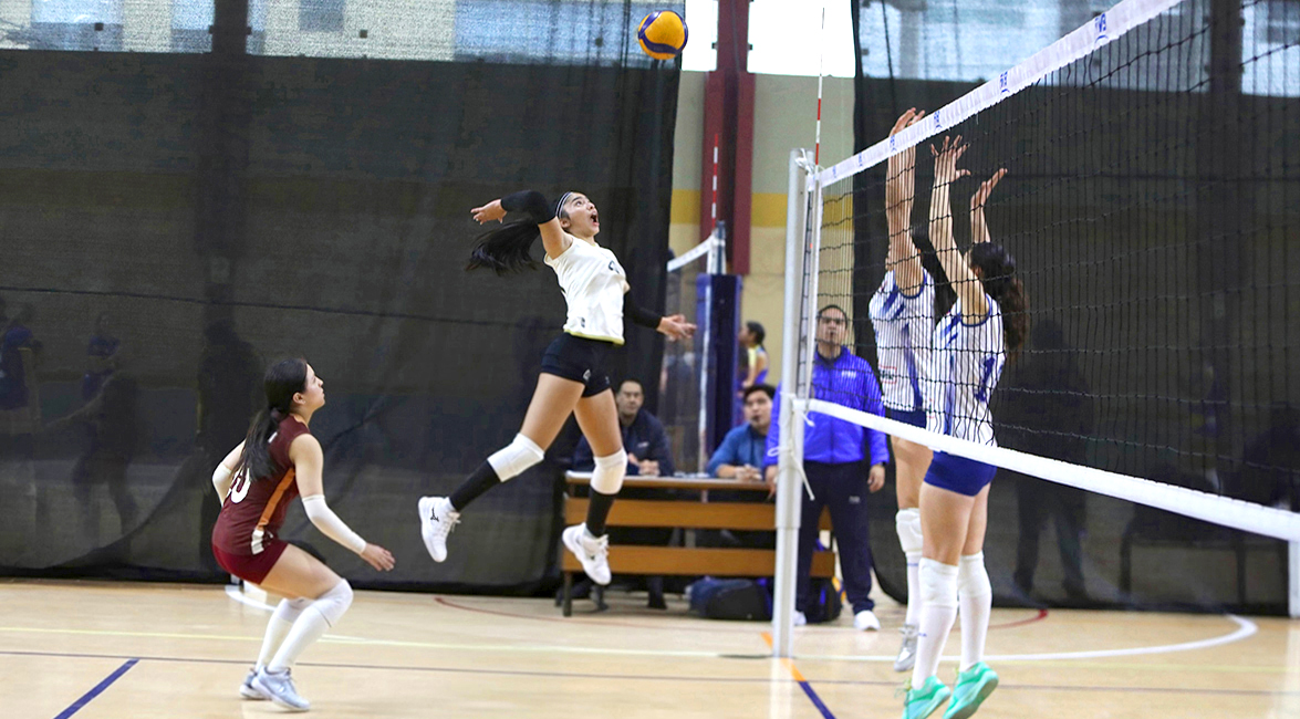 Liga Nacional Superior de Voleibol